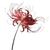 Red Spider Lily V10 Vinyl Car Decal Sticker – Waterproof & UV-Resistant 6.826666666666667"