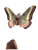 Ethereal Moth Deity Vinyl Car Decal Sticker – Waterproof & UV-Resistant 4.1066666666666665"