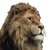 Lion V24 Vinyl Car Decal Sticker – Waterproof & UV-Resistant 6.826666666666667"