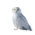Snowy Owl Winter V3 Vinyl Car Decal Sticker – Waterproof & UV-Resistant 6.826666666666667"