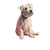 Fluffy Terrier Painting Vinyl Car Decal Sticker – Waterproof & UV-Resistant 3.4133333333333336"