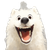 Smiling Samoyed Dog V2 Vinyl Car Decal Sticker – Waterproof & UV-Resistant 3.4133333333333336"