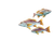 Florida Reef Fish Vinyl Car Decal Sticker – Waterproof & UV-Resistant 3.4133333333333336"