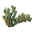 Nopal Cactus Rows V3 Vinyl Car Decal Sticker – Waterproof & UV-Resistant 3.4133333333333336"