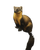 Yellow-Throated Marten Vinyl Car Decal Sticker – Waterproof & UV-Resistant 4.0"