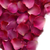 Rose Petals V3 Vinyl Car Decal Sticker – Waterproof & UV-Resistant 3.4133333333333336"