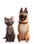 Veterinary Clinic Scene V4 Vinyl Car Decal Sticker – Waterproof & UV-Resistant 8.213333333333333"