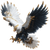 Golden-Headed Eagle V2 Vinyl Car Decal Sticker – Waterproof & UV-Resistant 3.4133333333333336"