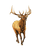 Bull Elk Bugling V2 Vinyl Car Decal Sticker – Waterproof & UV-Resistant 8.0"