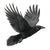 Giant Raven Flying Vinyl Car Decal Sticker – Waterproof & UV-Resistant 3.4133333333333336"