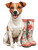 Happy Jack Russell V6 Vinyl Car Decal Sticker – Waterproof & UV-Resistant 4.16"
