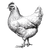Old Hen Drawing Vinyl Car Decal Sticker – Waterproof & UV-Resistant 3.4133333333333336"