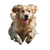 Joyful Golden Retriever V29 Vinyl Car Decal Sticker – Waterproof & UV-Resistant 6.826666666666667"