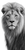 Lion Portrait V30 Vinyl Car Decal Sticker – Waterproof & UV-Resistant 10.2