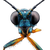 Moonlit Insect Eyes Vinyl Car Decal Sticker – Waterproof & UV-Resistant 3.4133333333333336"