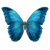 Oceanblue Butterfly V3 Vinyl Car Decal Sticker – Waterproof & UV-Resistant 3.4133333333333336"