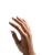 Manicured Hand Close-Up V2 Vinyl Car Decal Sticker – Waterproof & UV-Resistant 8.213333333333333"