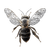 Minimalist Bee V2 Vinyl Car Decal Sticker – Waterproof & UV-Resistant 3.4133333333333336"