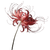 Red Spider Lily V9 Vinyl Car Decal Sticker – Waterproof & UV-Resistant 6.826666666666667"