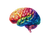 Colorful Brain Drawing Vinyl Car Decal Sticker – Waterproof & UV-Resistant 6.1866666666666665"