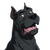 Happy Cane Corso Vinyl Car Decal Sticker – Waterproof & UV-Resistant 6.826666666666667"