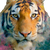 Bengal Tiger Art V2 Vinyl Car Decal Sticker – Waterproof & UV-Resistant 6.826666666666667"