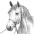 Horse Line Drawing V2 Vinyl Car Decal Sticker – Waterproof & UV-Resistant 6.826666666666667"