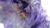 Ethereal Oriental Elegance Vinyl Car Decal Sticker – Waterproof & UV-Resistant 2.72"