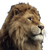 Lion V27 Vinyl Car Decal Sticker – Waterproof & UV-Resistant 6.826666666666667"