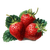 Vintage Strawberries Vector Vinyl Car Decal Sticker – Waterproof & UV-Resistant 3.4133333333333336"