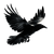 Flying Crow V10 Vinyl Car Decal Sticker – Waterproof & UV-Resistant 6.826666666666667"