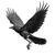 Skeletal Raven Flight V2 Vinyl Car Decal Sticker – Waterproof & UV-Resistant 3.4133333333333336"