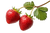 Hanging Strawberries Vinyl Car Decal Sticker – Waterproof & UV-Resistant 5.97333333333333