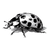 Victorian Ladybug Illustration V2 Vinyl Car Decal Sticker – Waterproof & UV-Resistant 6.826666666666667"