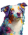Abstract Aussie Shepherd V2 Vinyl Car Decal Sticker – Waterproof & UV-Resistant 8.0"