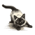 Pouncing Siamese Cat V2 Vinyl Car Decal Sticker – Waterproof & UV-Resistant 3.4133333333333336"