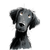 Cute Retriever Drawing Vinyl Car Decal Sticker – Waterproof & UV-Resistant 6.826666666666667"