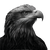 Eagle Head Profile Vinyl Car Decal Sticker – Waterproof & UV-Resistant 3.4133333333333336"