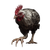 Crazy Looking Chicken Vinyl Car Decal Sticker – Waterproof & UV-Resistant 6.826666666666667"