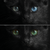 Black Cat Eyes V2 Vinyl Car Decal Sticker – Waterproof & UV-Resistant 3.4133333333333336"