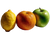 Citrus And Apple V3 Vinyl Car Decal Sticker – Waterproof & UV-Resistant 6.1866666666666665"