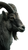 Mountain Goat Portrait Vinyl Car Decal Sticker – Waterproof & UV-Resistant 9.706666666666667"