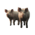 Pigs In Mud Vinyl Car Decal Sticker – Waterproof & UV-Resistant 3.4133333333333336"
