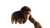 Prehistoric Human-Chimpanzee Hybrid Vinyl Car Decal Sticker – Waterproof & UV-Resistant 5.4