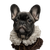 Cute French Bulldog V13 Vinyl Car Decal Sticker – Waterproof & UV-Resistant 3.4133333333333336"