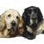 Dogs V8 Vinyl Car Decal Sticker – Waterproof & UV-Resistant 3.4133333333333336"