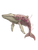 Cybernetic Whale Diagram Vinyl Car Decal Sticker – Waterproof & UV-Resistant 4.1066666666666665"