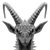 Microscopic Horned Creatures Vinyl Car Decal Sticker – Waterproof & UV-Resistant 6.826666666666667"
