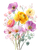 Ranunculus Floral Bouquet Vinyl Car Decal Sticker – Waterproof & UV-Resistant 4.0"