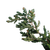 Fir Branches Arrangement Vinyl Car Decal Sticker – Waterproof & UV-Resistant 6.826666666666667"